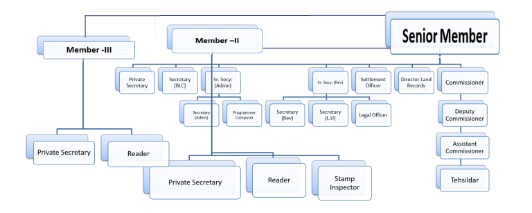 Organogram